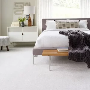FindYourComfortTonal-EA819-00125-GalleryOpening-BEDROOM-H_500x500 Carpet flooring | The Carpet Factory Super Store