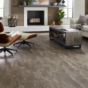 imgi_27_Paramount-Plus-512C-00728-Jade-Oak-FamilyRoom-Wood-V_1600x1600 Flooring | The Carpet Factory Super Store